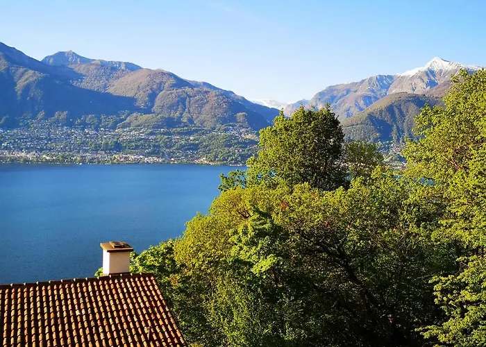 Appartement 1 Mit Seesicht Und Pool Gambarogno