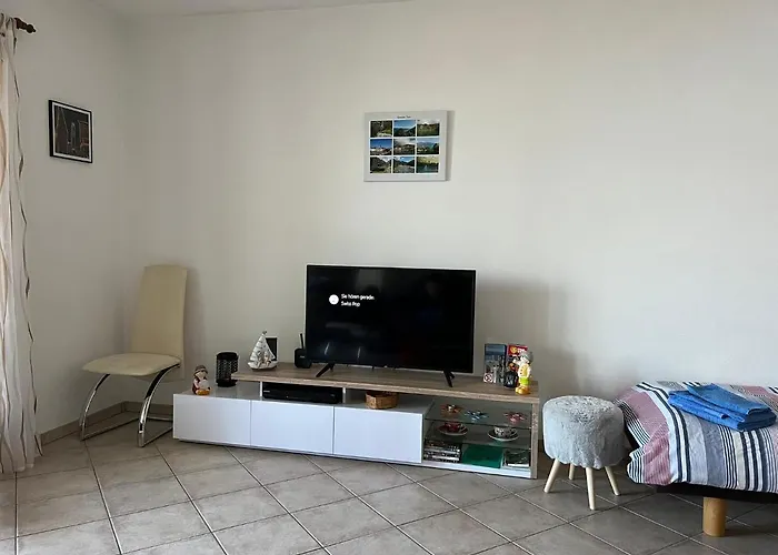 Apartament 1 Mit Seesicht Und Pool Gambarogno