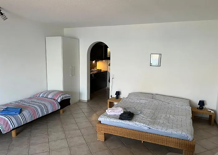 Apartament 1 Mit Seesicht Und Pool Gambarogno